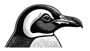 Penguin Head Sketch Style - Animal Face vector