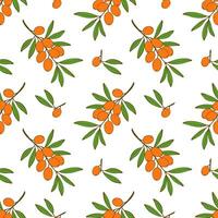 Pattern sea buckthorn branches with ripe orange berries on white background. vector