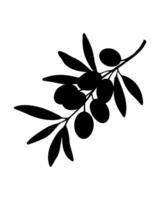Sea buckthorn branch silhouette with berries isolated on white background. vector