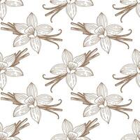 Aromatic spice pattern with vanilla flowers and pods vector
