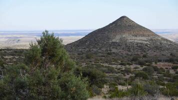Landscape, Coniferous plants, cacti and yellow dry vegetation against the backdrop of a cone mountain in a desert landscape against a background of white clouds. New mexico video