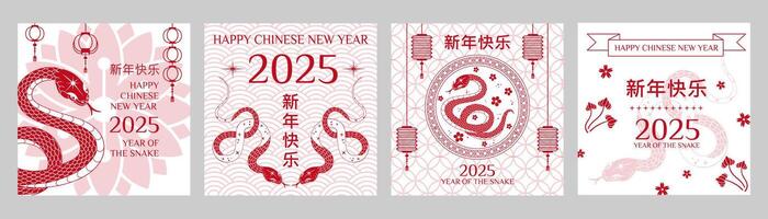 New year 2025 of the chinese snake zodiac square greeting cards with snake, flower, lantern and inscription in Chinese Happy Chinese New Year. set in red white colors for posters, social media vector