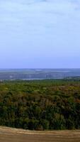 Edge of the forest. Deciduous wood on natural river and fields background. Amazing scenery in the countryside. Peaceful atmosphere of nature. Vertical video