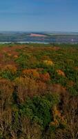 Forest at fall on river background. Flying over colorful trees in autumn season. Amazing nature scenery. Camera moves forward. Aerial view. Vertical video