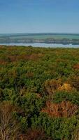 Amazing colorful foliage on river background. Green, red and yellow trees of the forest. Autumn landscape from the air. Aerial view. Motion camera back. Vertical video