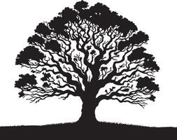 silhouettes of oak tree illustration isolated on white background vector