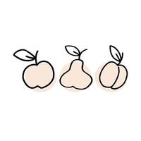 A trio of hand-drawn fruit illustrations featuring an apple, pear, and peach with minimalist design against a simple background vector