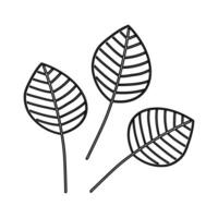 Delicate line drawing of three leaf shapes with intricate vein patterns on a minimalist background vector
