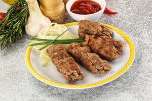 Beef kebab minced meat with onion photo