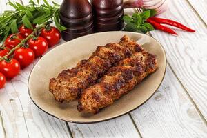 Chicken kebab minced meat and spices photo