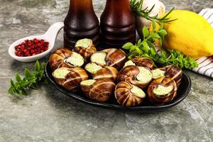 Fresnch escargort with basil butter photo