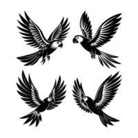 A Set of flying Parrot Bird design vector