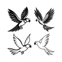 A Set of flying Parrot Silhouette vector
