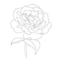 Peony flower in line art. isolated on white background. Element for design. Hand-drawn continuous lines. coloring book or design for web and crop production site vector