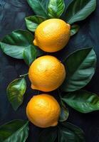 Three oranges are on a leafy green background. The oranges are ripe and ready to eat. photo