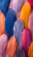 A colorful array of feathers with a blue and orange feather in the middle. The feathers are arranged in a way that creates a sense of movement and energy. The colors of the feathers are vibrant photo