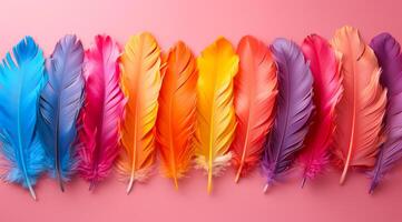 A row of colorful feathers on a pink background. The feathers are arranged in a rainbow pattern, with each feather a different color. Concept of vibrancy and diversity photo