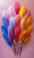 A colorful arrangement of feathers on a pink background. The feathers are of different colors and sizes, creating a vibrant and lively scene. Concept of freedom and natural beauty photo