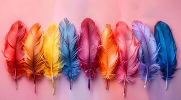 A row of colorful feathers are arranged in a rainbow pattern. The feathers are of different colors, including red, orange, yellow, green, blue, and purple. Concept of vibrancy and diversity photo