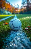 A white soccer ball is sitting on the grass next to a white line. The image has a peaceful and serene mood, as the ball is placed in a natural setting with trees in the background photo