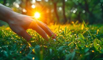 A hand is reaching out to touch the grass in a field. The sun is shining brightly, casting a warm glow on the scene. Concept of peace and tranquility, as the hand reaches out to connect with nature photo