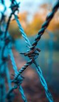 A close up of a wire fence with a twisted wire. The wire is rusted and has a few sharp points. The fence is blue and the sky is blue. Scene is somewhat melancholic and lonely photo