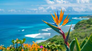 Close-up image of the tropical flower Strelizia Bird of Paradise on the seashore background photo