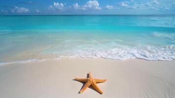 Starfish on a sandy shore by the crystal clear turquoise ocean photo