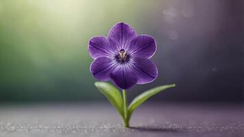 A charming watercolor clip art of a single violet, with purple petals and a green stem. photo