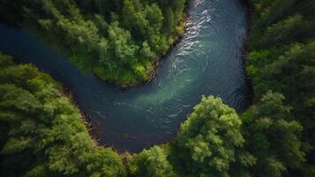 An overhead shot of a winding river with lush vegetation lining its banks symbolizing the importance of preserving our natural resources and the role of national parks in doing so. photo