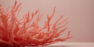 Abstract coral red color with pastel pink background, fluid creative concept composition with minimal natural elegance copy space. photo