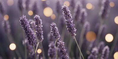 Modern Abstract Lavender Background with Illuminated Circular Shapes - Perfect for Product Presentation, Advertising, and Digital Art Inspiration. photo