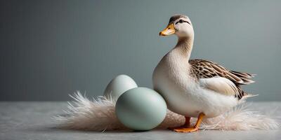 A duck egg surrounded by soft feathers, positioned on the right side of a clean, soft-colored background. photo