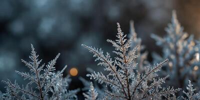 Stunning frost covered decoration as copy space image on glass. photo