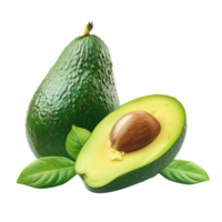avocado fruit on a transparent background png