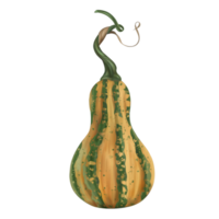 Oval yellow-green pumpkin with a stalk, autumn harvest. Fresh farm vegetables, healthy food, vegetarianism. Garden plants, agriculture. Isolated digital handmade illustration. A graphic design element png