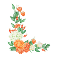 Orange and white roses, hydrangea, rowan berries and rose hips. Hand drawn watercolor isolated corner frame with fall vegetables and plants for banner template with copy space for text png