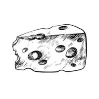 A piece of cheese. graphics, black and white hand-drawn illustrations. Isolate on a white background. For packages and labels. For banners and posters. For restaurant and bar menus. vector
