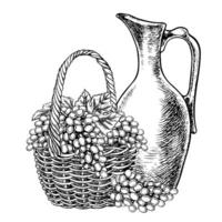 A wicker basket with grapes and a ceramic wine jug. graphics, black and white hand-drawn illustration. Isolate on a white background. An element of packaging and label design. vector