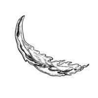 Liquid splashes. Splashes of water or drink. A black and white illustration in the style of graphics, made by hand on a white background. Design element of packaging, labels, kitchen utensils. vector