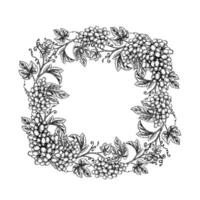 The frame is a round wreath with vines and bunches of grapes. graphics, black and white hand-drawn illustration. Isolate on a white background. An element of packaging, label design and posters vector