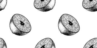 Seamless pattern of Lemon Slices. Hand drawn Sketch illustration of Lemon pulp. Black ink outline of citrus fruit. Background for menu, package, cosmetic, textile vector