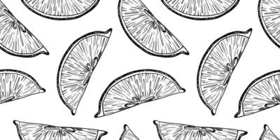Lemon Slices. Hand drawn Sketch illustration of Lemon pulp. Seamless pattern of black ink outline of citrus fruit. Background for menu, package, cosmetic, textile vector