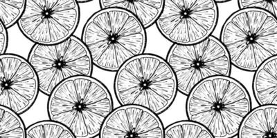 Round Lemon Slices. Hand drawn Sketch illustration. Seamless pattern of black ink outline of citrus fruit. Background for menu, package, cosmetic, textile vector