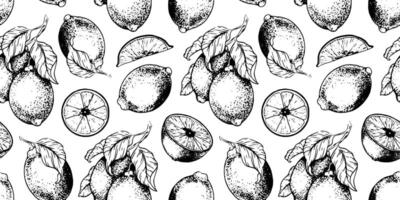Lemon Branches with fruits leaves, lemon's slices. Hand drawn seamless pattern. Print of Tropical citrus fruit. Background for menu, package, cosmetic, textile, cards vector