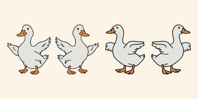 Detailed duck illustration and hand drawn duck characters set vector