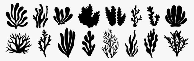 A collection of black silhouette seaweed and corals illustrations in various shapes and sizes. Algae isolated on a white background. Perfect for marine-themed designs, underwater scenes. vector