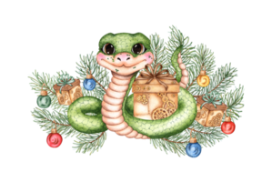 Green snake - with fir branches, gifts and Christmas balls. Symbol of 2025, Chinese horoscope isolated from background. For designing New Year cards, scrapbooking, png