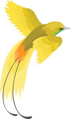 bird of paradise in flying pose, illustration of bird of paradise