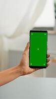 Back view of freelencer holding chroma key green screen mock up smartphone watching social media content. Caucasian woman sitting on office desk working on marketing project using isolated gadget photo